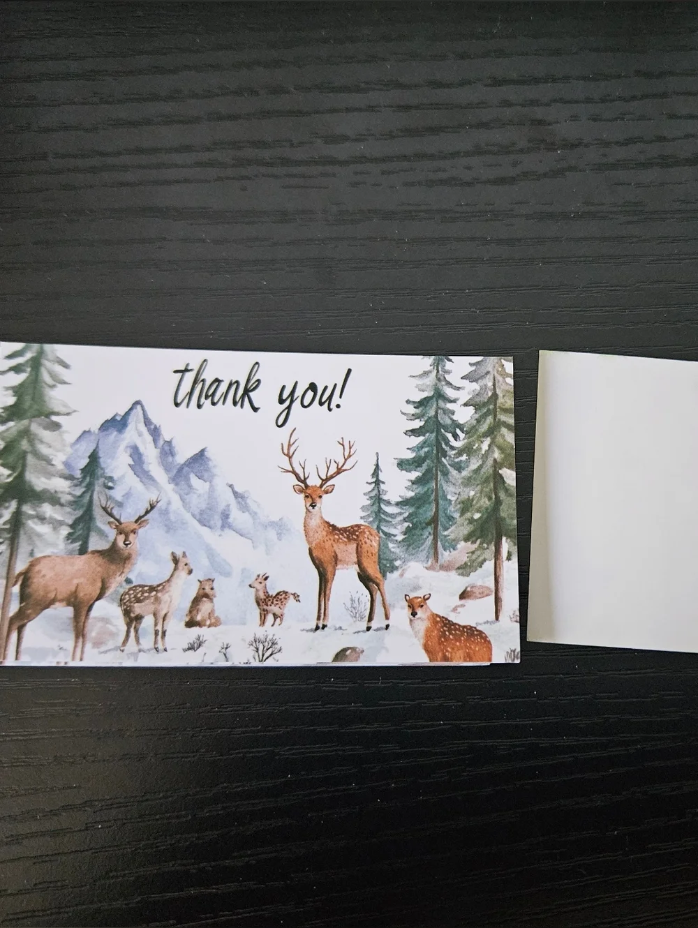 Thank You Card with Forest Deer Illustration - White and Brown